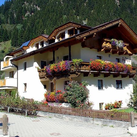 Appartamento Haus Alpengruss Neustift im Stubaital Esterno foto